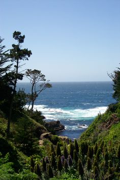 an ocean view from the top of a hill with trees and bushes in front of it