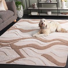 a white dog laying on top of a rug