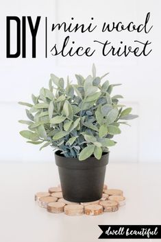 a small potted plant sitting on top of a table next to a cork coaster