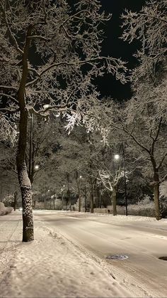 snow covered trees and street lights on a snowy night in a park with no people