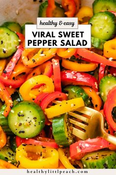 sweet pepper salad in a bowl with seasoning and a fork Sweet Pepper Snack Ideas, Viral Pepper And Cucumber Salad, Salads No Meat, Sweet Pepper Cucumber Salad, Cucumber And Bell Pepper Salad, Baby Bell Pepper Recipes, Tik Tok Cucumber Pepper Salad, Cucumber Sweet Pepper Salad, Vegetable Salad Recipes Healthy