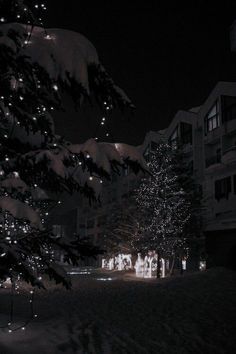 christmas lights are lit up on the trees in front of an apartment building at night