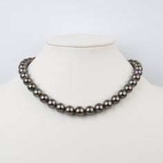 This one-of-a-kind necklace is composed of breathtaking round Tahitian pearls measuring 10.0-12.3 mm in size and is approximately 18 inches in length. The pearls feature a medium silver peacock body color with pink and green overtones and high luster. Your Tahitian strand will arrive double knotted on color-matching silk which protects your pearls from rubbing against each other, and if your necklace ever breaks, you won't lose a single pearl. The necklace is finished with a 14 karat gold clasp Single Pearl, Pearl Types, Tahitian Pearls, Body Color, Gold Polish, Body Colour, Pearl Size, Black Pearl, Pricing Jewelry