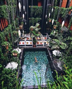 an indoor swimming pool surrounded by greenery and hanging planters is seen from above