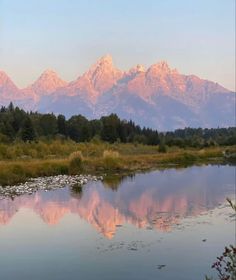 the mountains are reflected in the still water of the river as it flows through the marsh