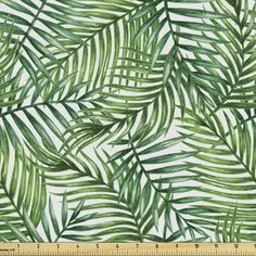 green palm leaves on a white background