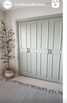 a bedroom with white walls and green closets in the corner, next to a tree