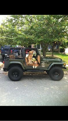 two dogs are sitting in the drivers seat of a green jeep with four doors open