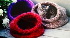 a cat sitting in a crocheted pet bed next to some flowers