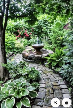 a stone path leads to a fountain surrounded by greenery