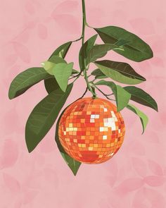 an orange hanging from a tree with green leaves on it's branch, against a pink background