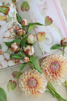 three flowers sitting on top of a table next to an open book with pages in the background