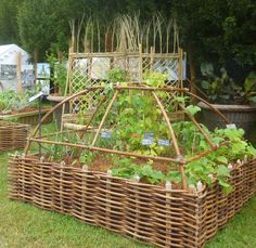 a garden filled with lots of plants next to a wooden structure in the middle of grass