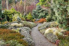 a garden with lots of different types of trees and plants on it's sides