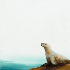 a seal sitting on top of a sandy beach next to the ocean under a cloudy sky