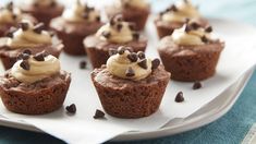 chocolate cupcakes with cream frosting and chocolate chips