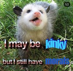 a ferret is standing in the grass with its mouth open and it's tongue out