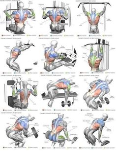 an image of a man doing exercises on the back and shoulder muscles in different positions