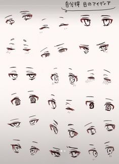 an image of many different types of eyes