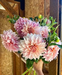 a person holding a bouquet of pink flowers