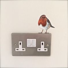 a small bird sitting on top of a light switch