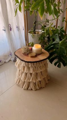 a candle and some plants on a table