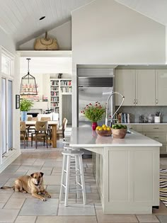 a dog laying on the kitchen floor next to an island with stools in it