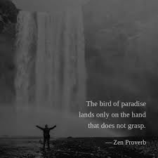 the bird of paradise lands only on the hand that does not grasp - zen proverb