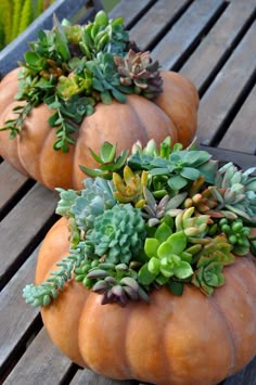 two pumpkins filled with succulent plants sitting on top of a wooden table