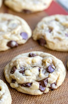 chocolate chip cookies on a baking sheet ready to be eaten