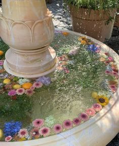 aesthetic flowerfountain flower bath wedding inspo Rapunzel Moodboard, Absolutely Blooming, Rapunzel Aesthetic, Pretty Images, Maximalism, Spring Aesthetic, Spring Vibes, Spring Has Sprung