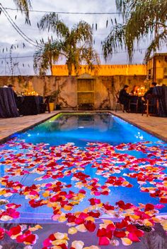 an outdoor pool with petals floating on the water