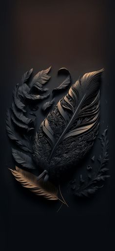 a black and gold feather on a dark background