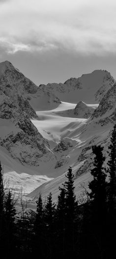 black and white photograph of mountains with trees in the foreground on a cloudy day