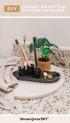 three toothbrushes in holder on counter next to towel and potted plant,