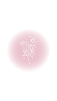 a white flower on a light pink background