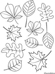 fall leaves coloring pages for kids