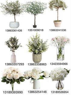 flowers are arranged in vases with numbers on the bottom and bottom, as well as plants