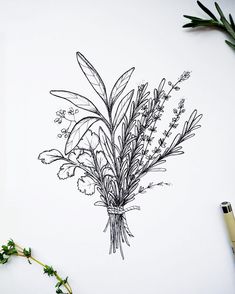 an ink drawing of some flowers on a white paper next to green leaves and scissors