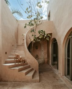 a dog is sitting on the stairs in an adobe - style house