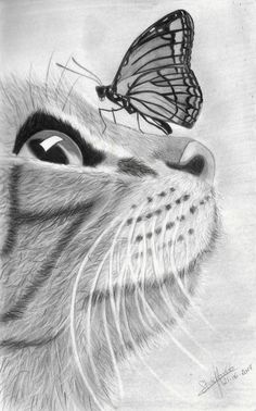 Cats Sketch, Cat Face Drawing, Shading Drawing, Profile Drawing, Pencil Drawings Of Animals, Realistic Pencil Drawings, Animal Drawings Sketches