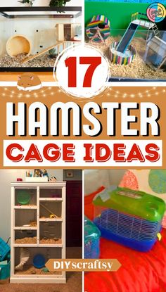 the top ten hamster cage ideas for kids to use in their playrooms