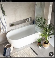 a white bath tub sitting next to a plant on top of a bathroom floor in front of a mirror