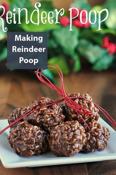 homemade reindeer pop recipe on a white plate