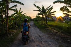 a person riding a motorcycle down a dirt road next to palm trees and houses in the background