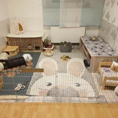 an aerial view of a living room with cats in the cage and other things on the floor