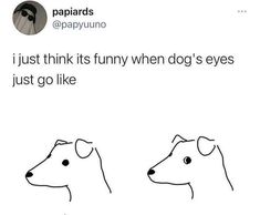 an image of two dogs with caption that reads, i just think its funny when dog's eyes just go like