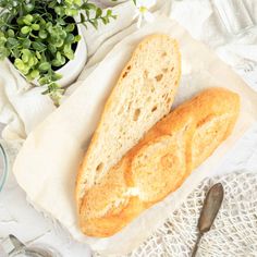 two loaves of bread sitting on top of a table next to a potted plant