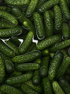 many cucumbers are gathered together on the table