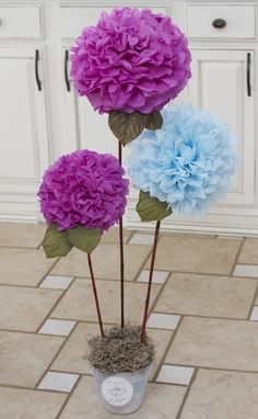 three purple and blue flowers are in a pot on the floor next to a white cabinet